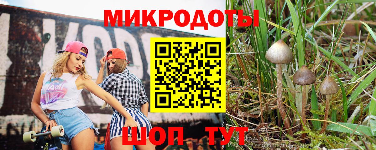 Псилоцибиновые грибы Psilocybe Сибай