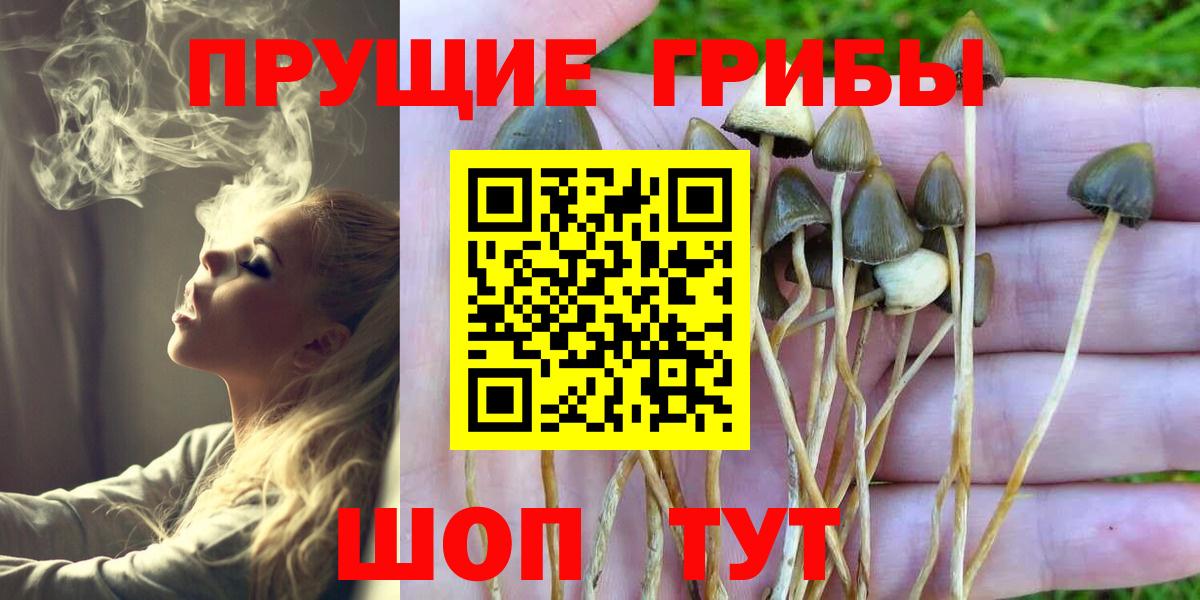 Псилоцибиновые грибы мухоморы  Вход с VPN  Сибай 